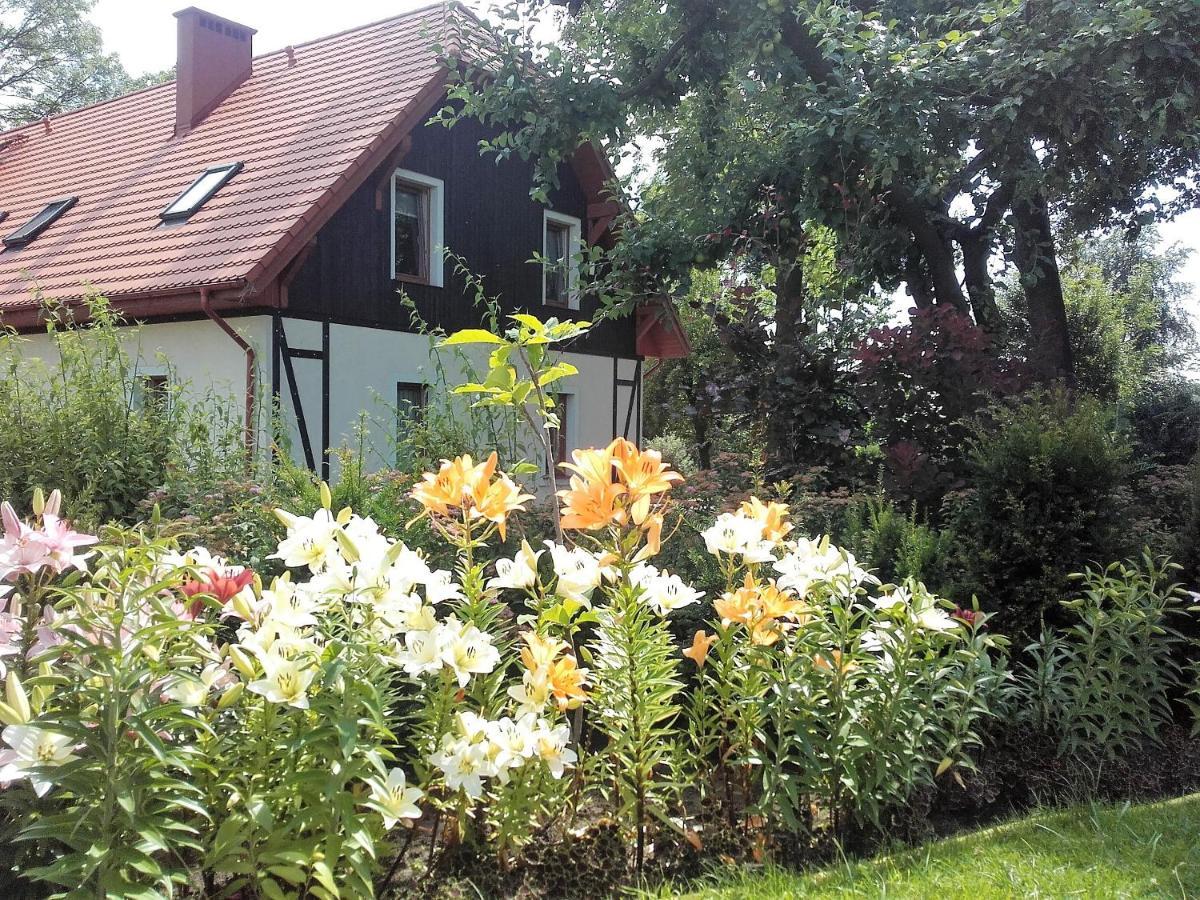 Willa Za Debami Glogów Exterior foto