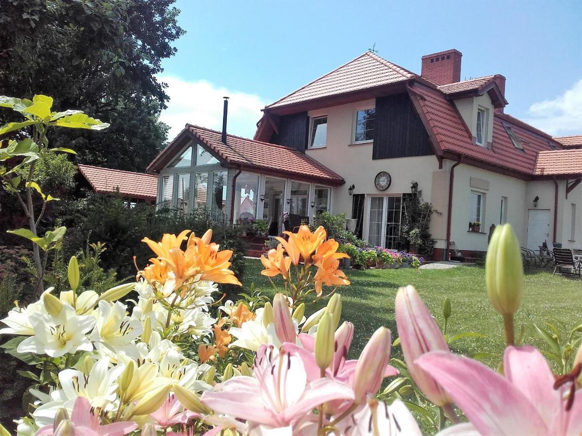 Willa Za Debami Glogów Exterior foto