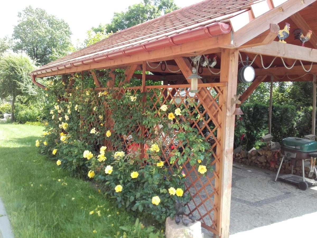 Willa Za Debami Glogów Exterior foto